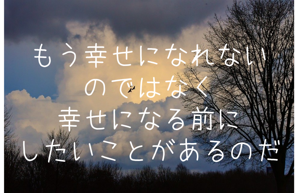 もう幸せになれないのではなく 幸せになる前にしたいことがあるのだ もらとりずむ